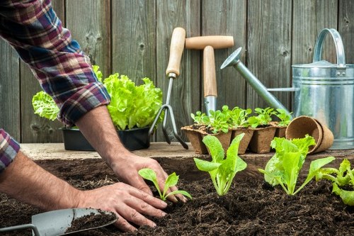 Willesden garden workers sorting green waste on-site