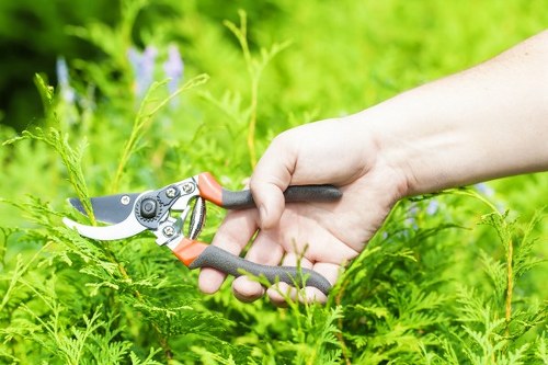 Garden maintenance crew trimming hedges in an urban garden