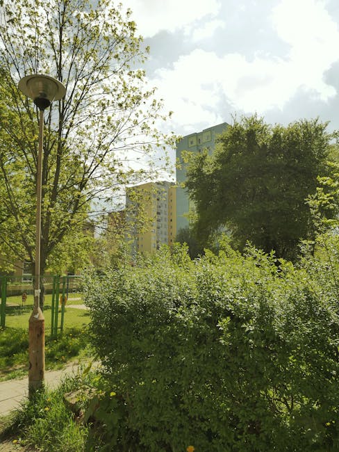A lush urban garden scene featuring a variety of greenery including a dense bush with small leaves in the foreground, a taller tree with light green foliage behind it, and neatly trimmed grass coverin
